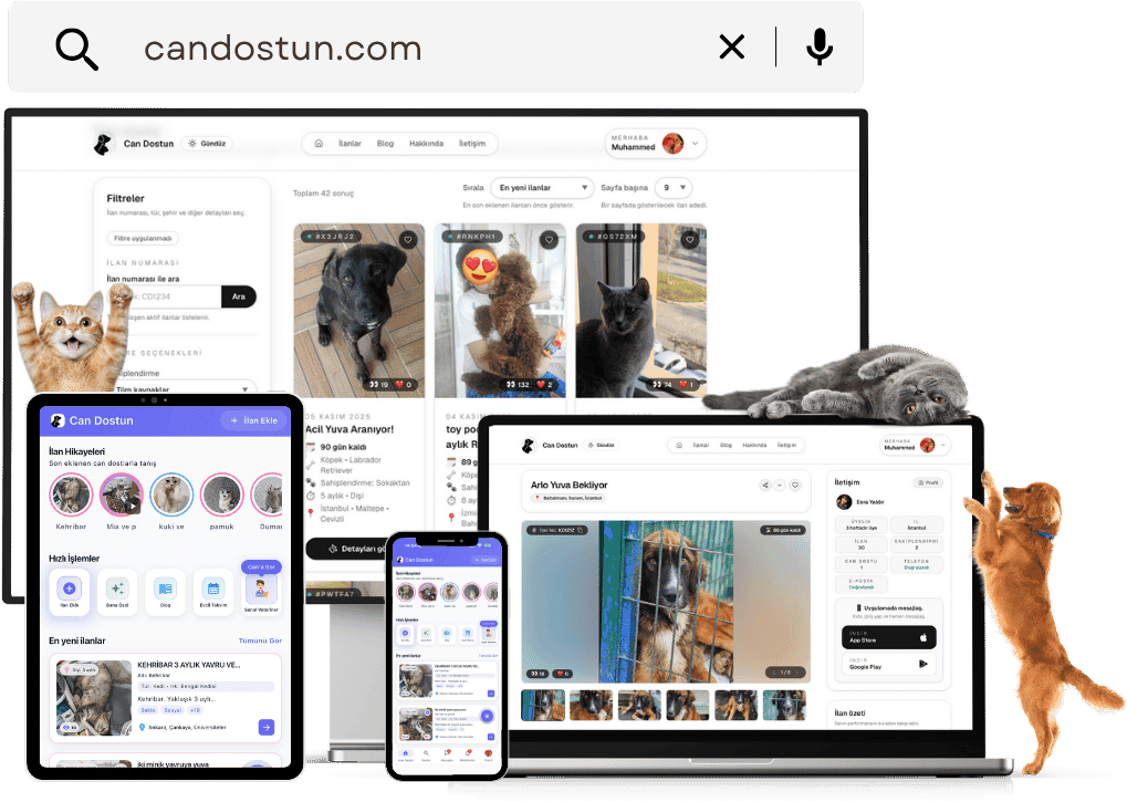 Can Dostun platformu ve mobil uygulamaları