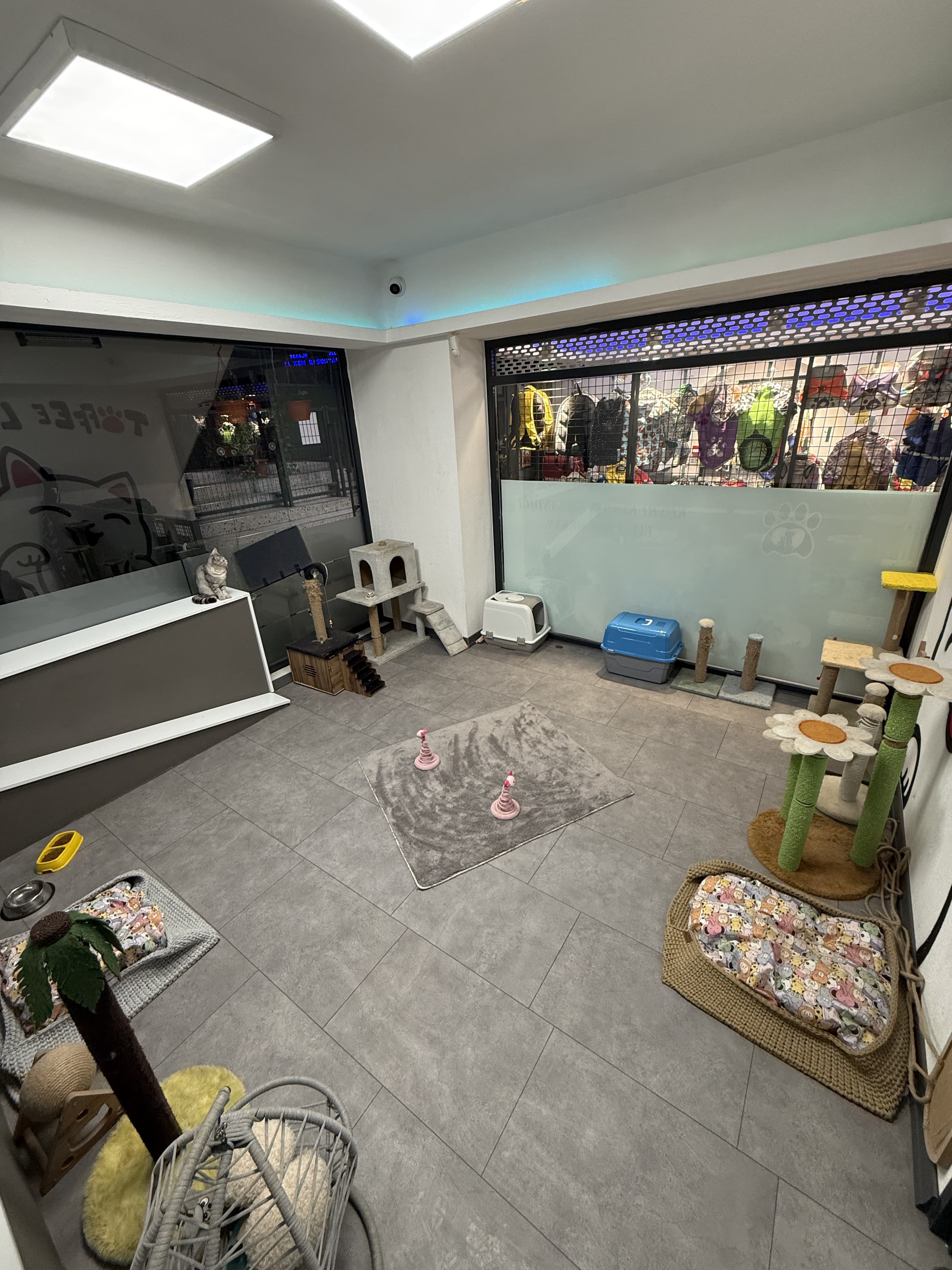 Can Dostun pet otelde konaklama alanından bir kare