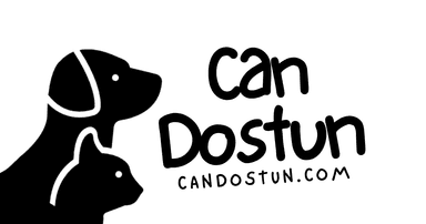 Can Dostun