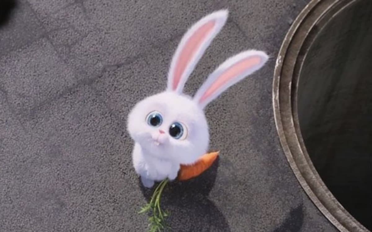 Minik Zıplayan Dostlar: Yeni Başlayanlar İçin Detaylı Tavşan Bakımı Rehberi kapak görseli - Candostun Blog