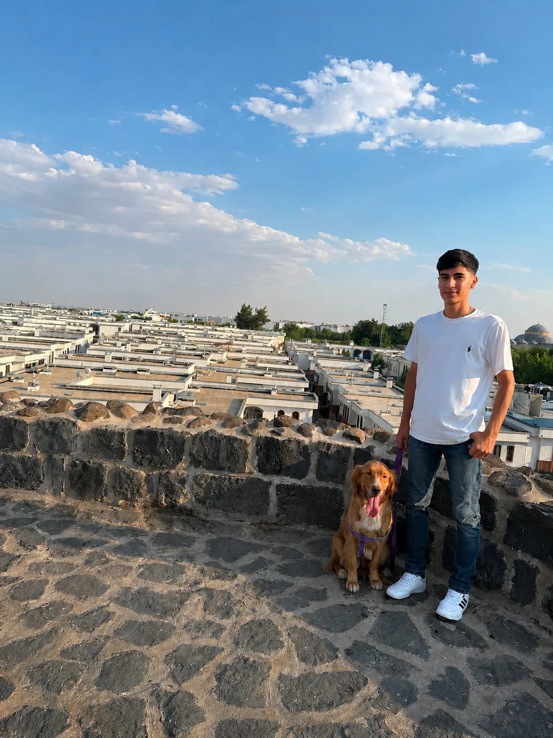 golden Diyarbakır