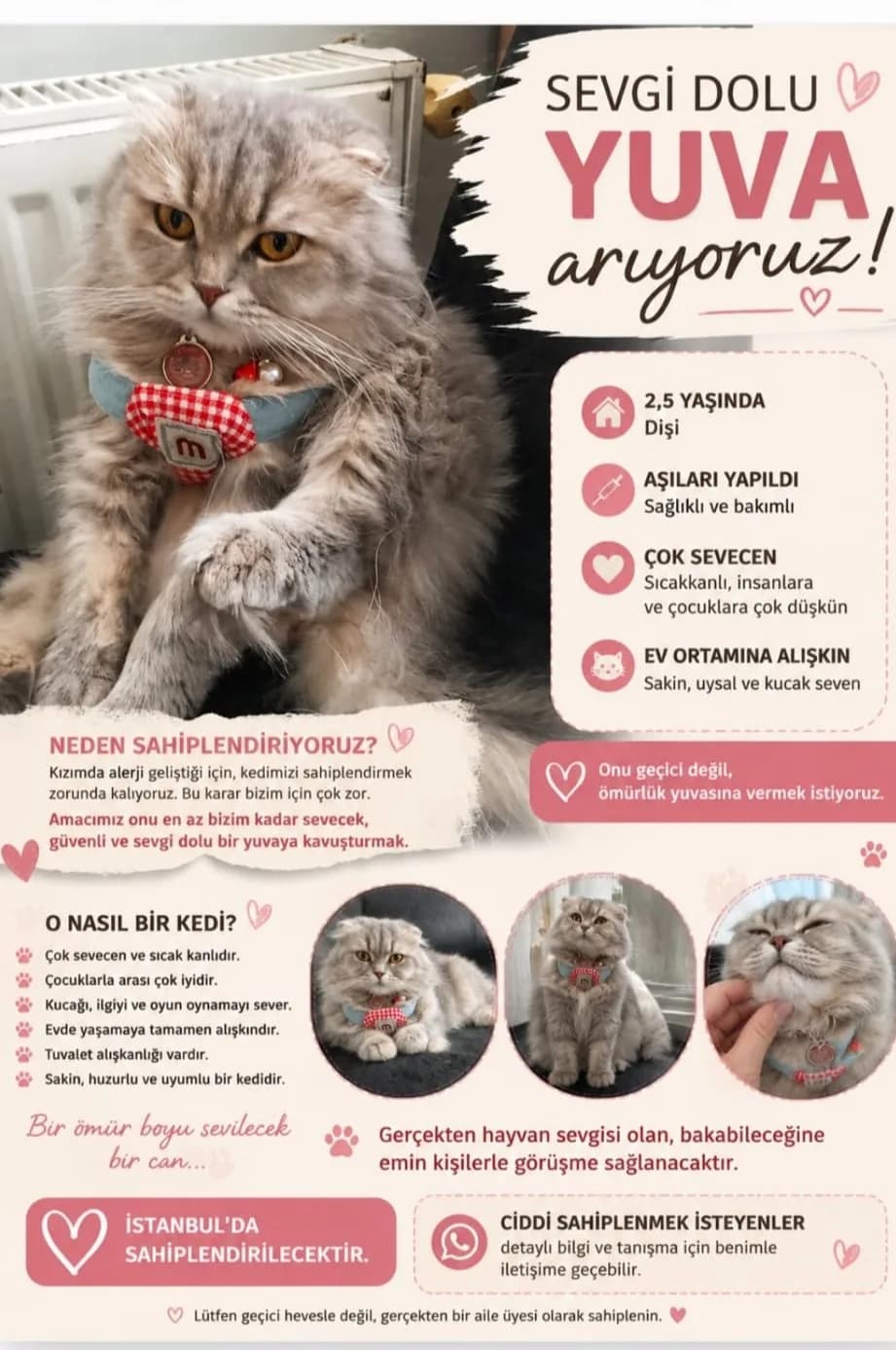 kızımı sahiplendirmek istiyorum