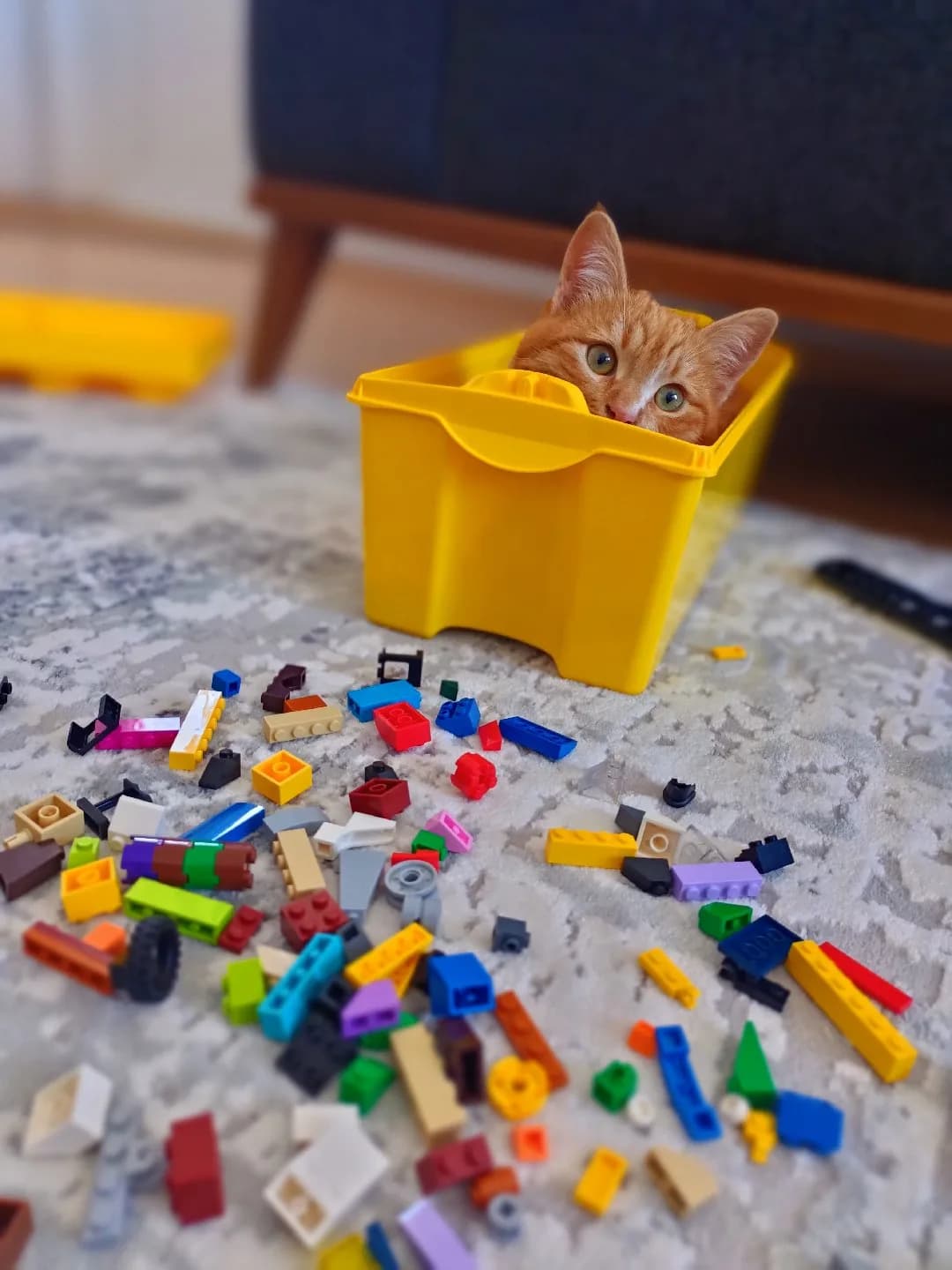 kartel yeni yuvasını arıyor