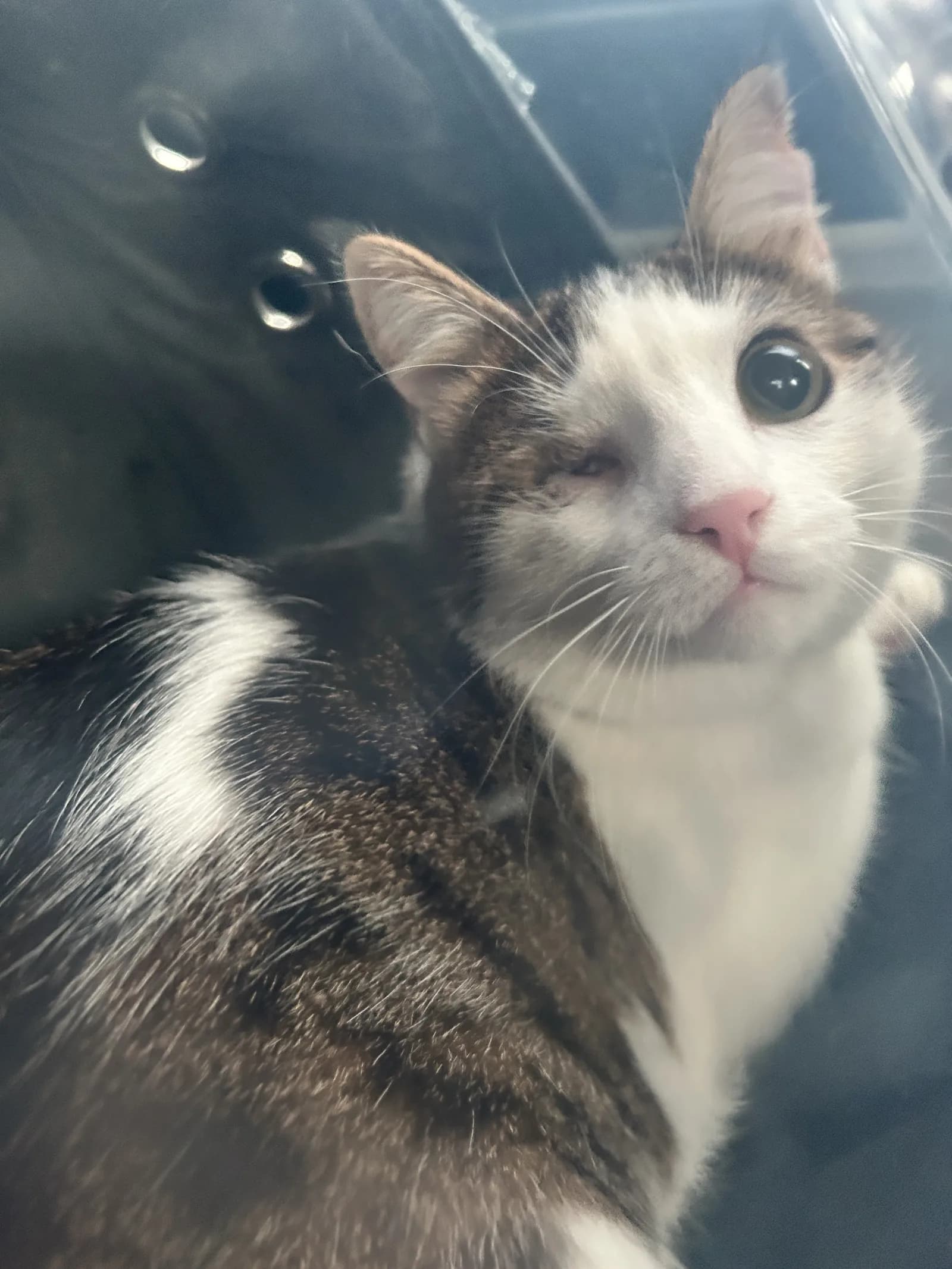 TEMAS BAĞIMLISI GÜZEL KIZIM İÇİN YUVA