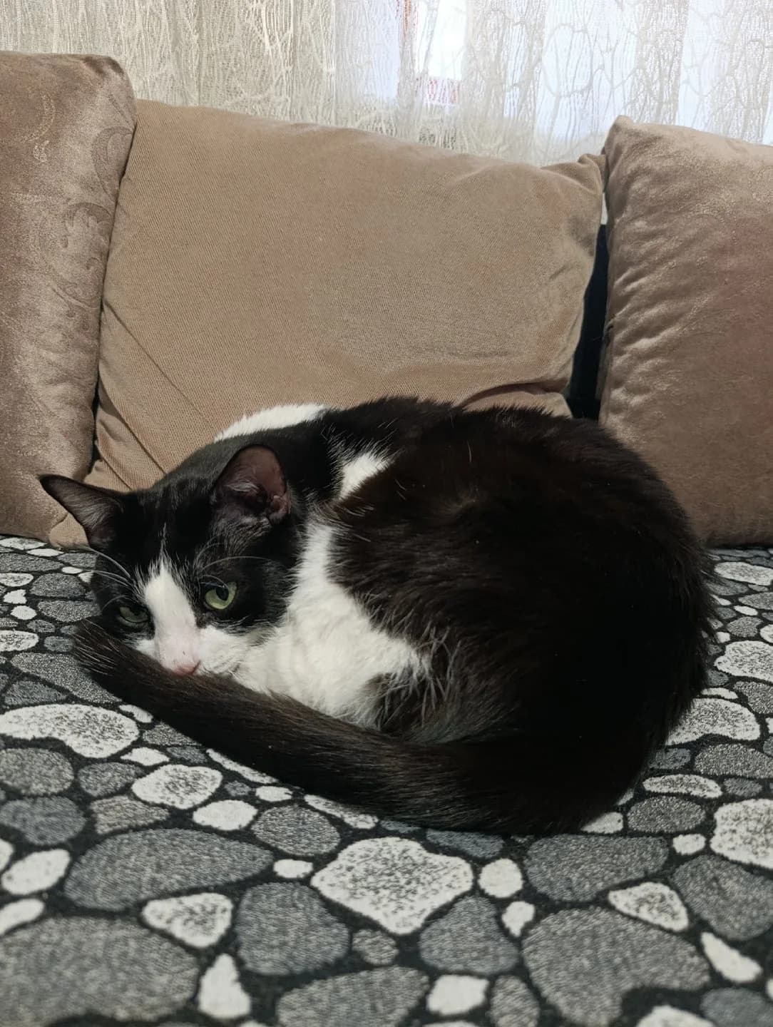 Engelli erkek kendimize acil yuva arıyoruz !!!