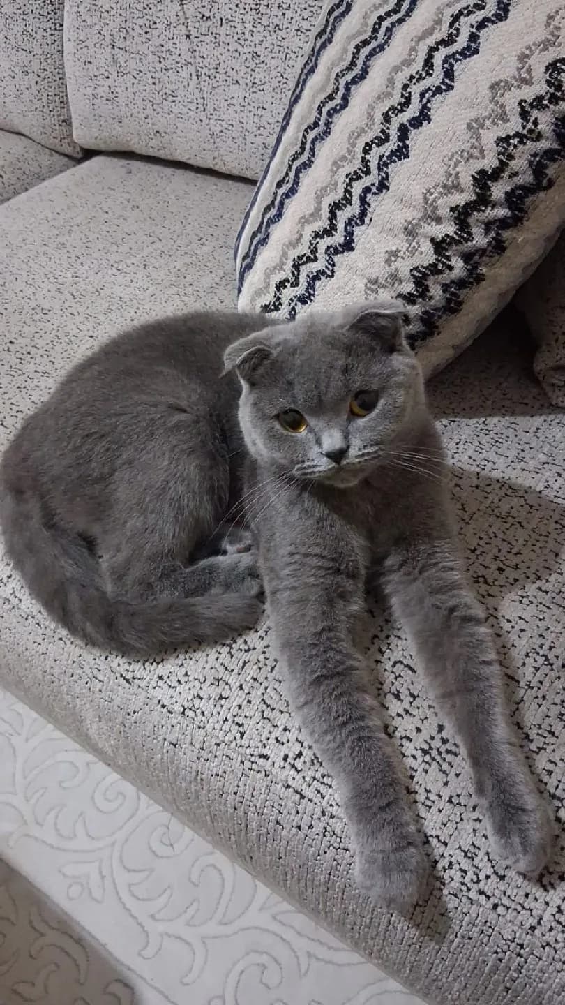 BALIMIZ İÇİN YUVA ARIYORUZ