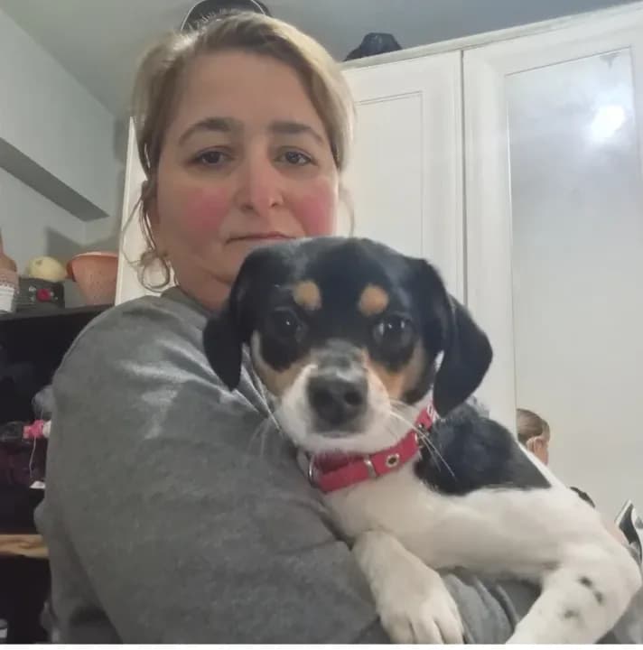 acil verilcek oğlum ve benim köpek alerjim çıktın o yüzden vermek zordayım cip karnesi var