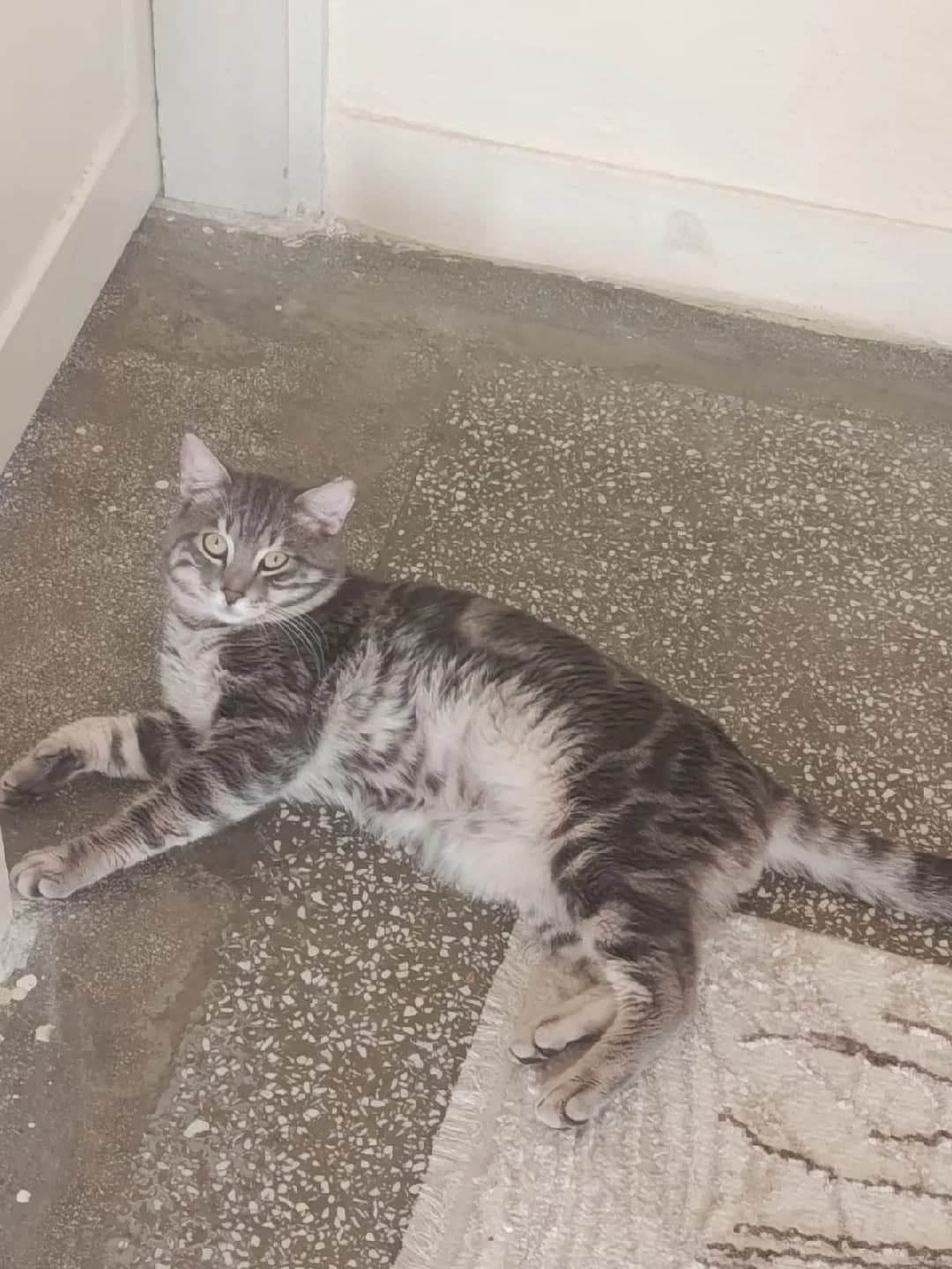 dumana yuva arıyorum acil