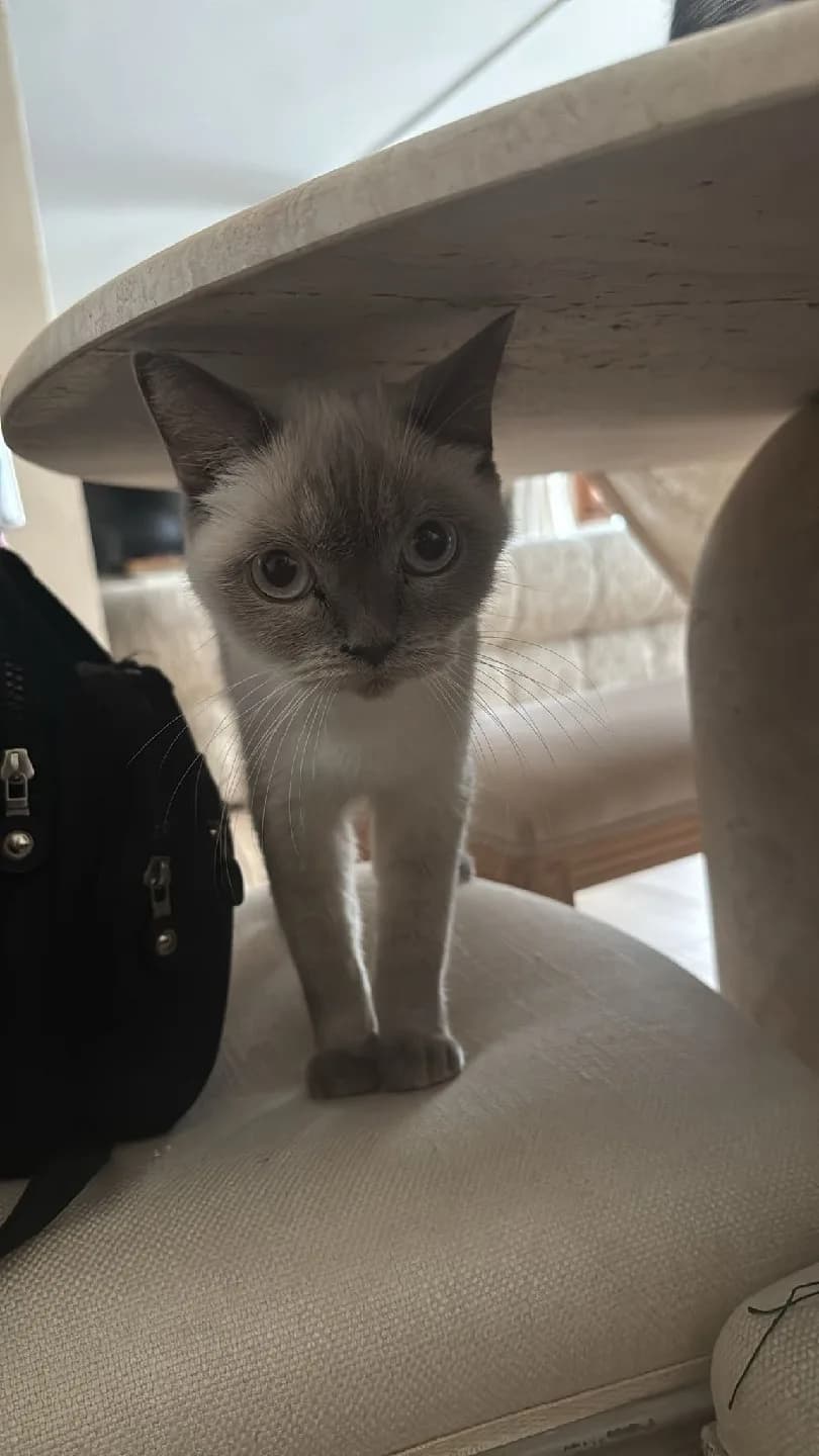 bebeklerimiz için sevgi dolu yuva arıyoruz