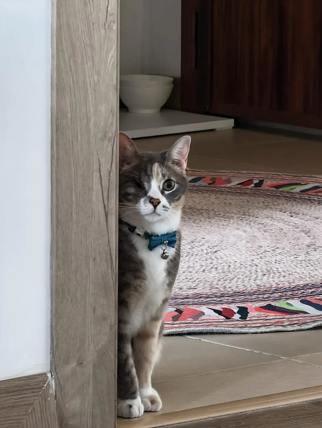 Tek ihtiyacı sevgi dolu yuva