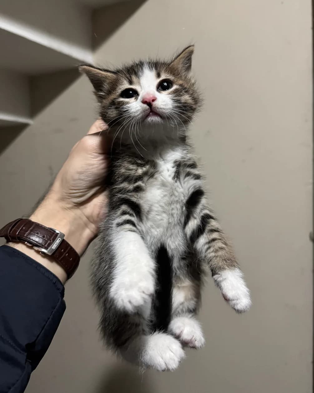 2 Yavru Kaldı - ACİL