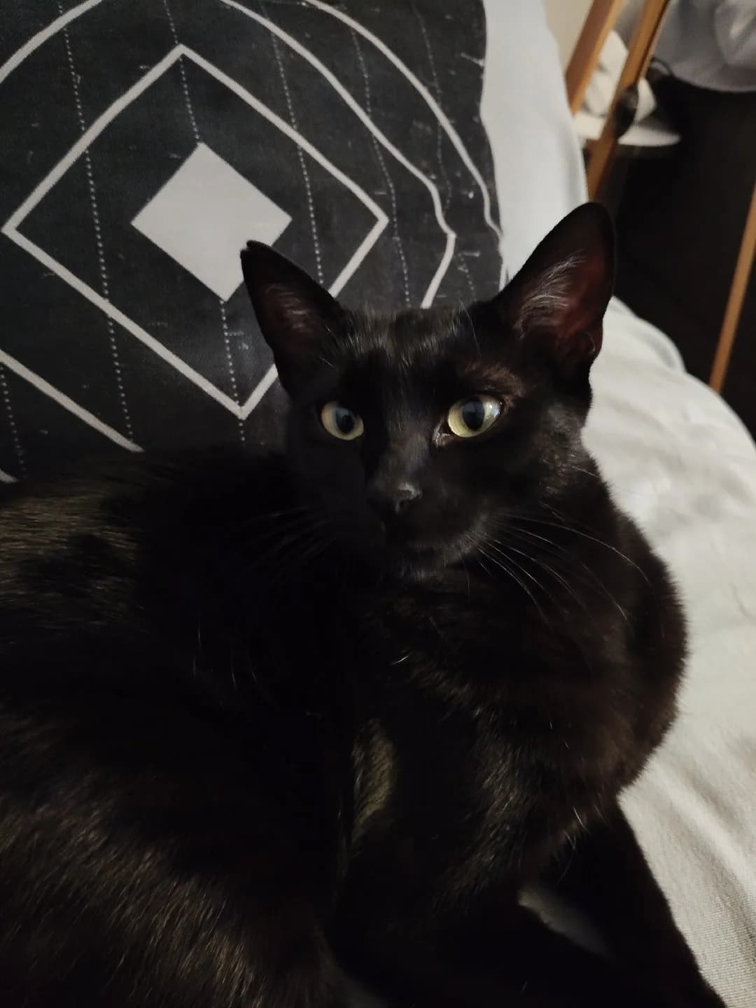 Oyunca, Çok cana yakın