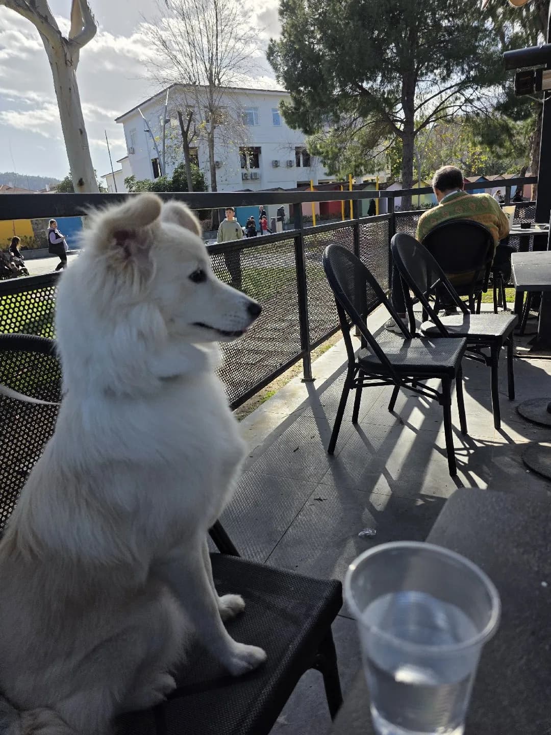 Kızımız Luna için yuva arıyoruz