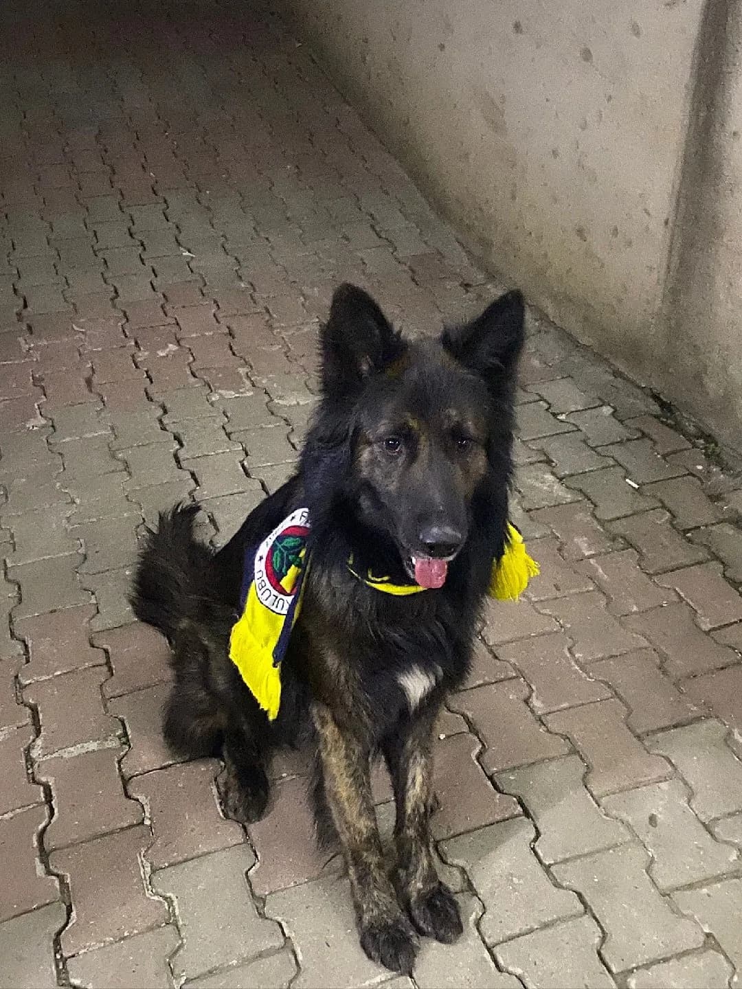 YAVRUMUZA YENİ YUVA ARIYORUZ