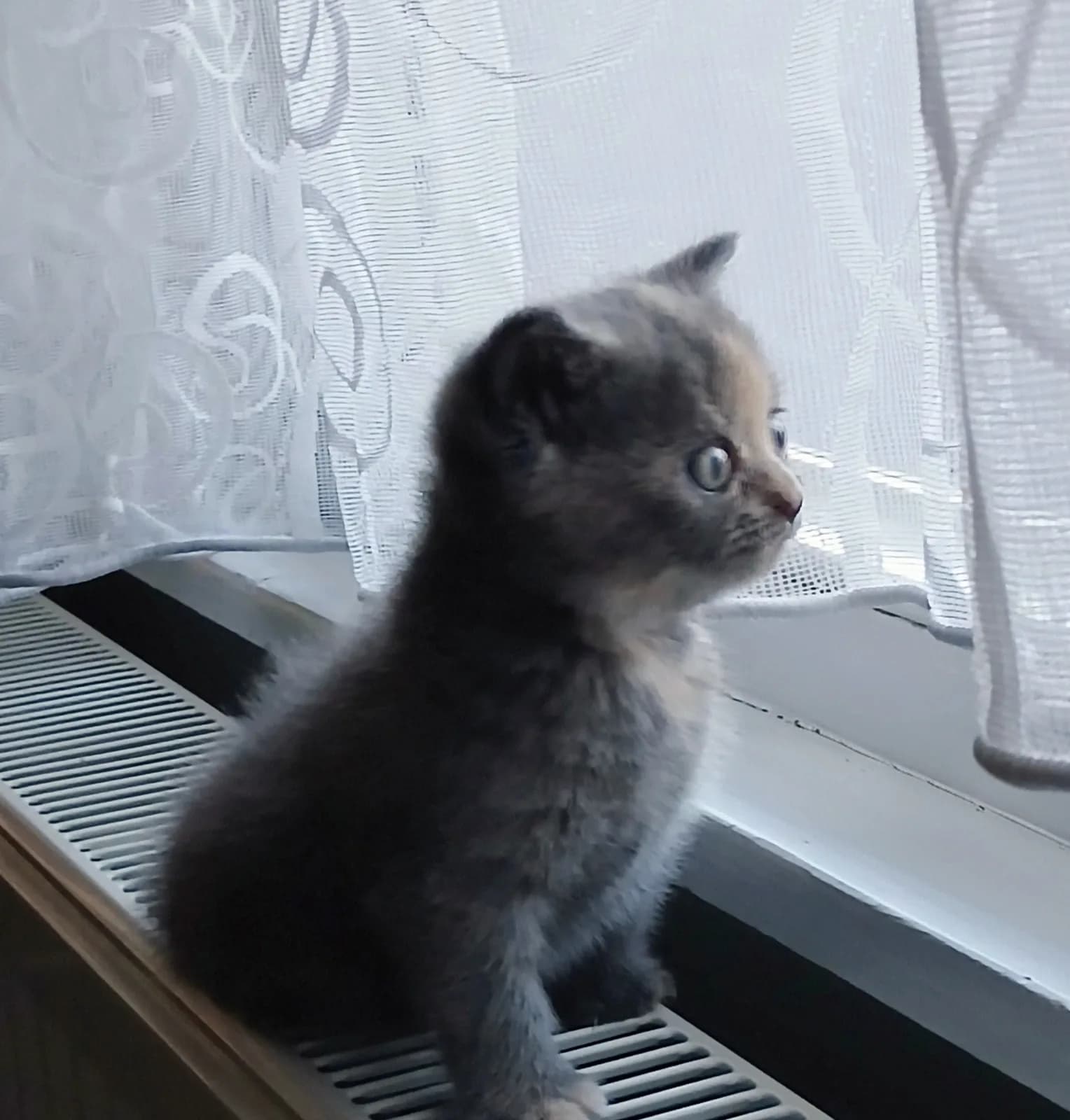 Yakışıklı çocuk