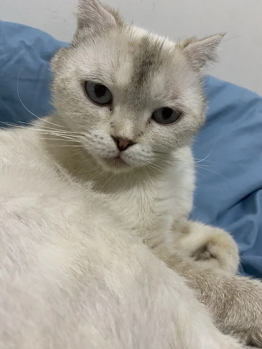 minnoş yavruma güzel bir yuva