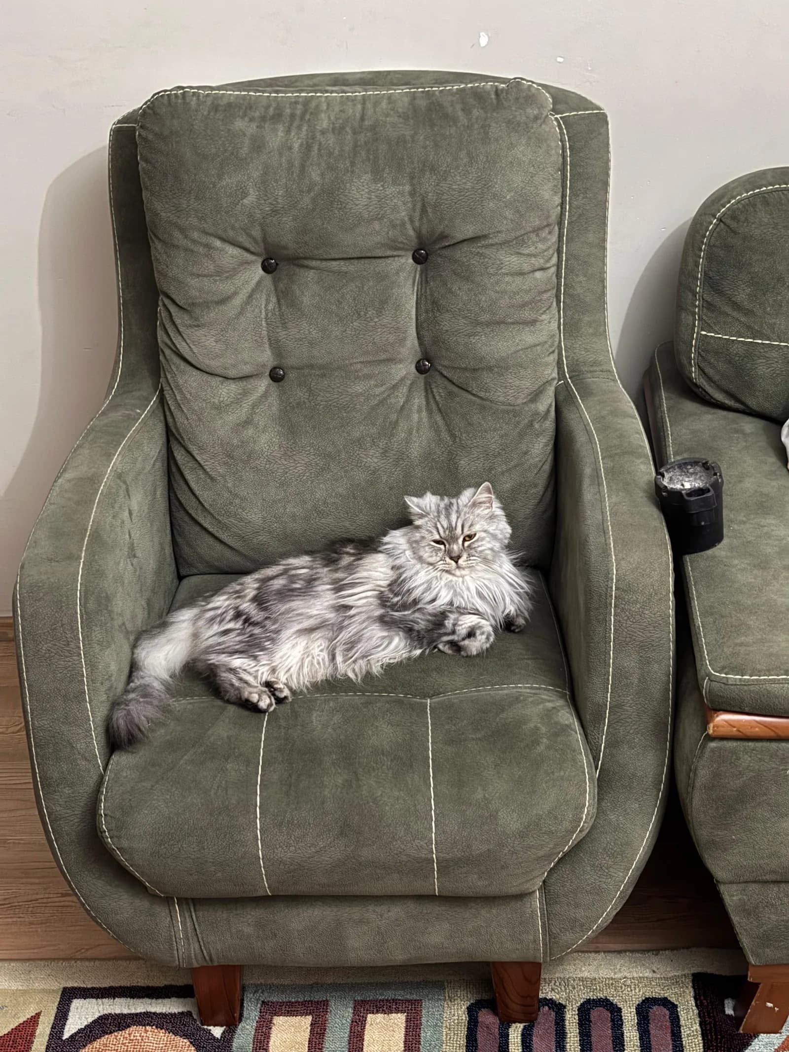 kızıma yuva arıyoruz