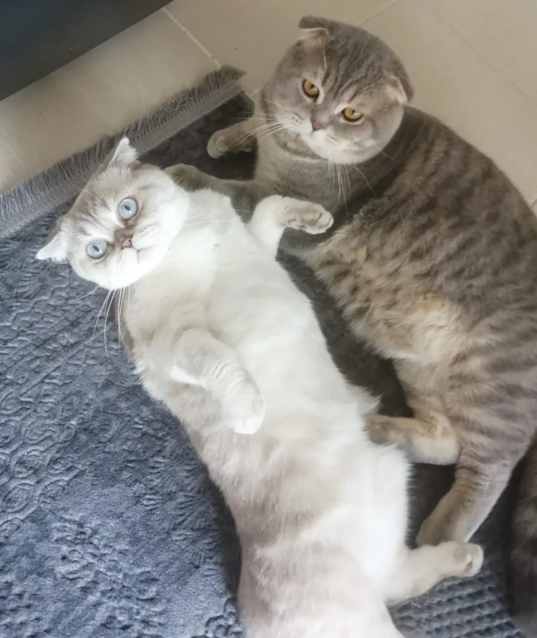 Yeni yuvalarını arıyoruz