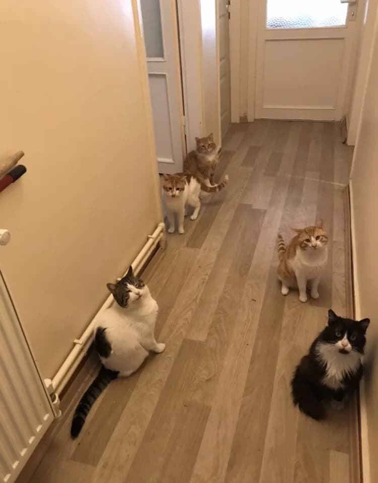 Öksüzlere yuva 💕