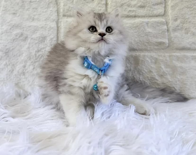 Bebeğimiz yuva arıyor