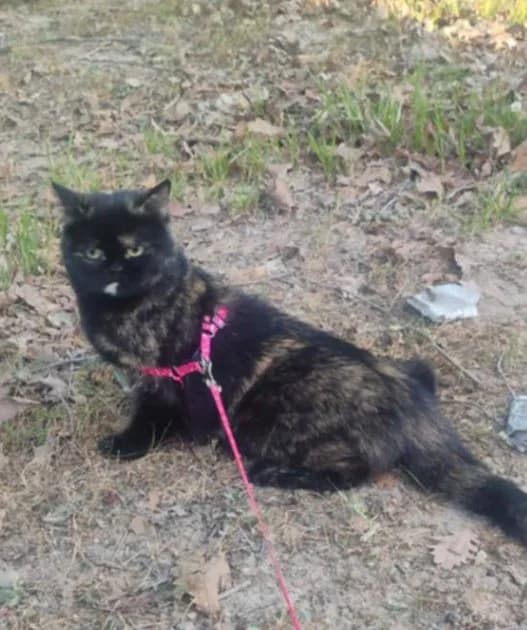 oğlum otizmli ve zarar veriyor üzülüyorum ama vermek zorundayım