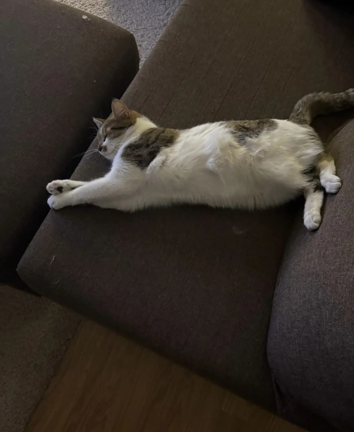 YULAFIN YUVAYA İHTİYACI VAR