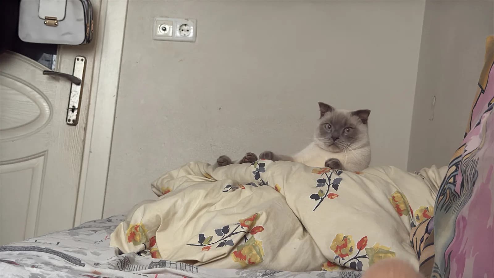 Tatlı oğlumuza bir yuva aranıyor