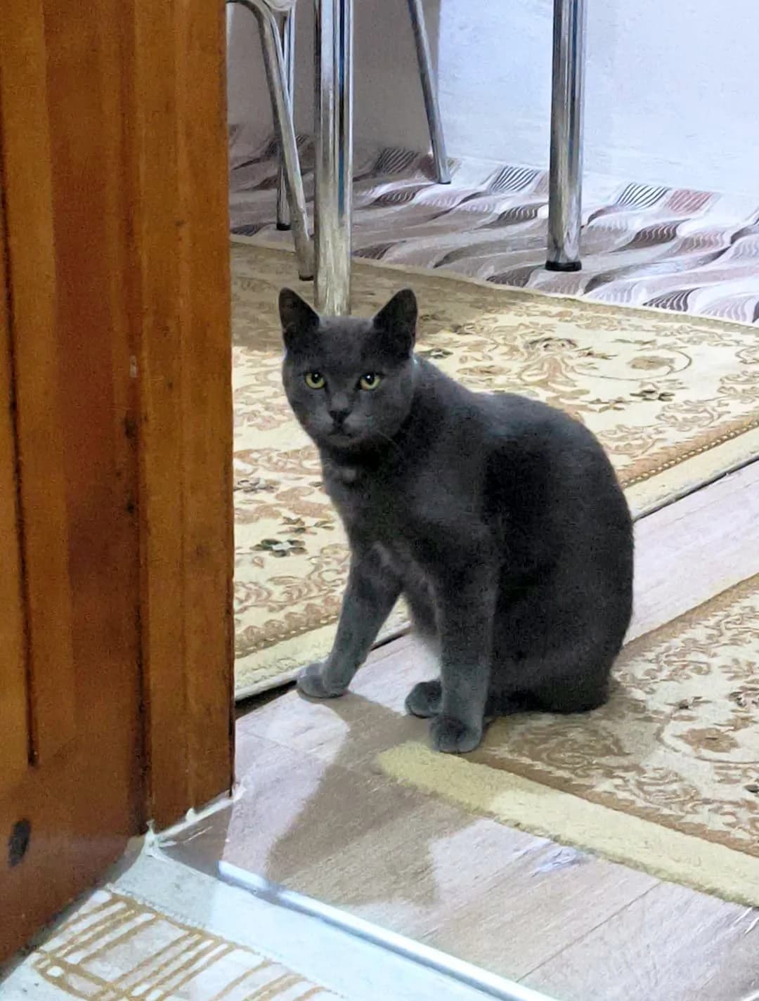 Yavrumuza Yuva Arıyoruz