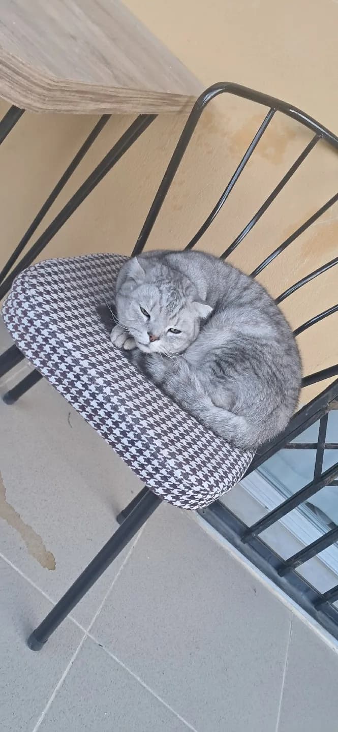 sıcacık bir yuva arıyoruz