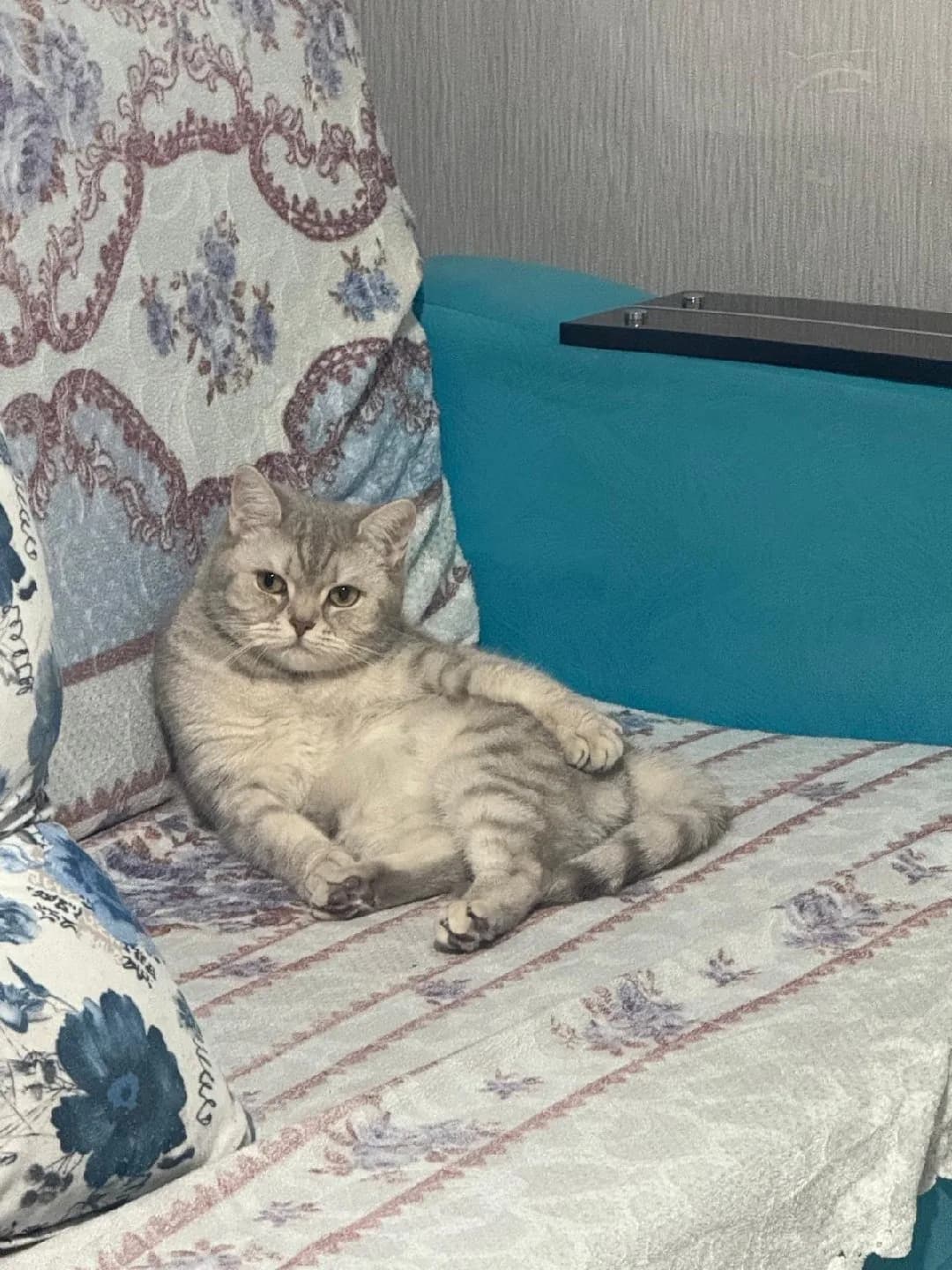 yuva arıyoruz