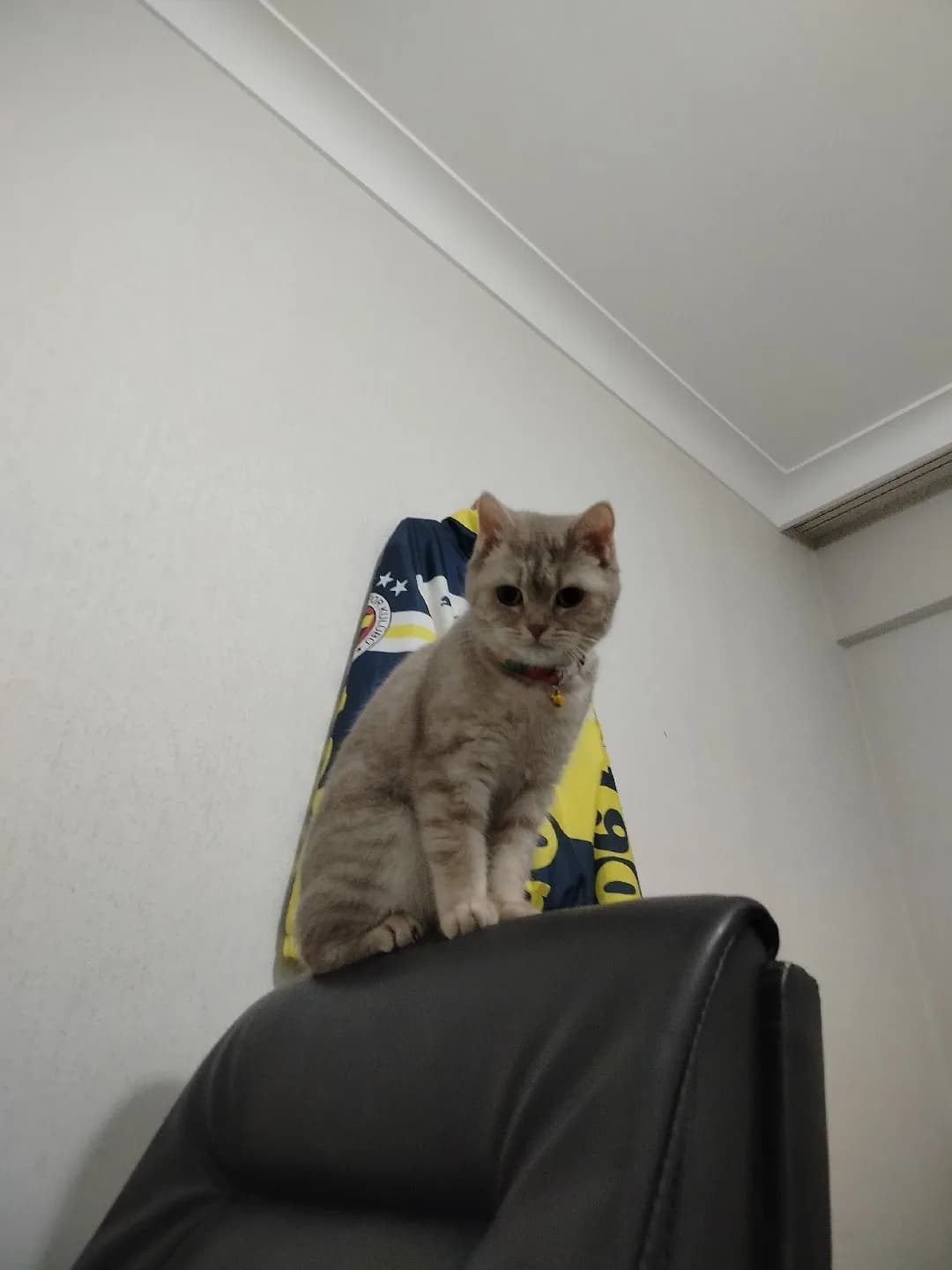 yuva arıyoruz