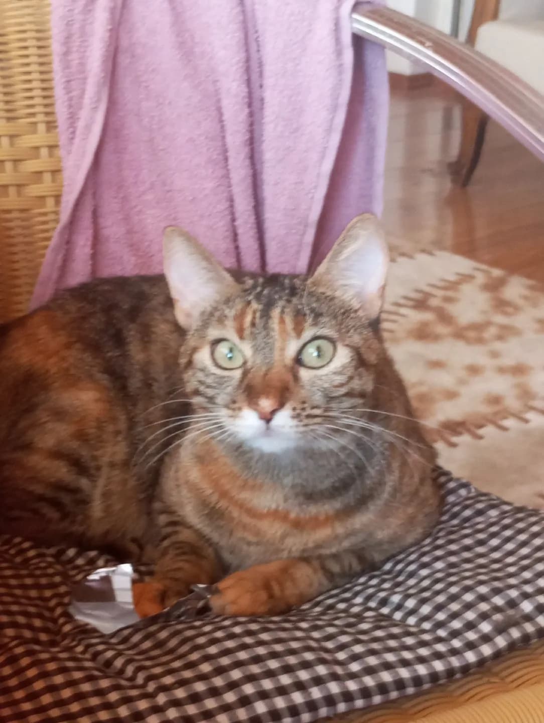 sevgi yuvamağı