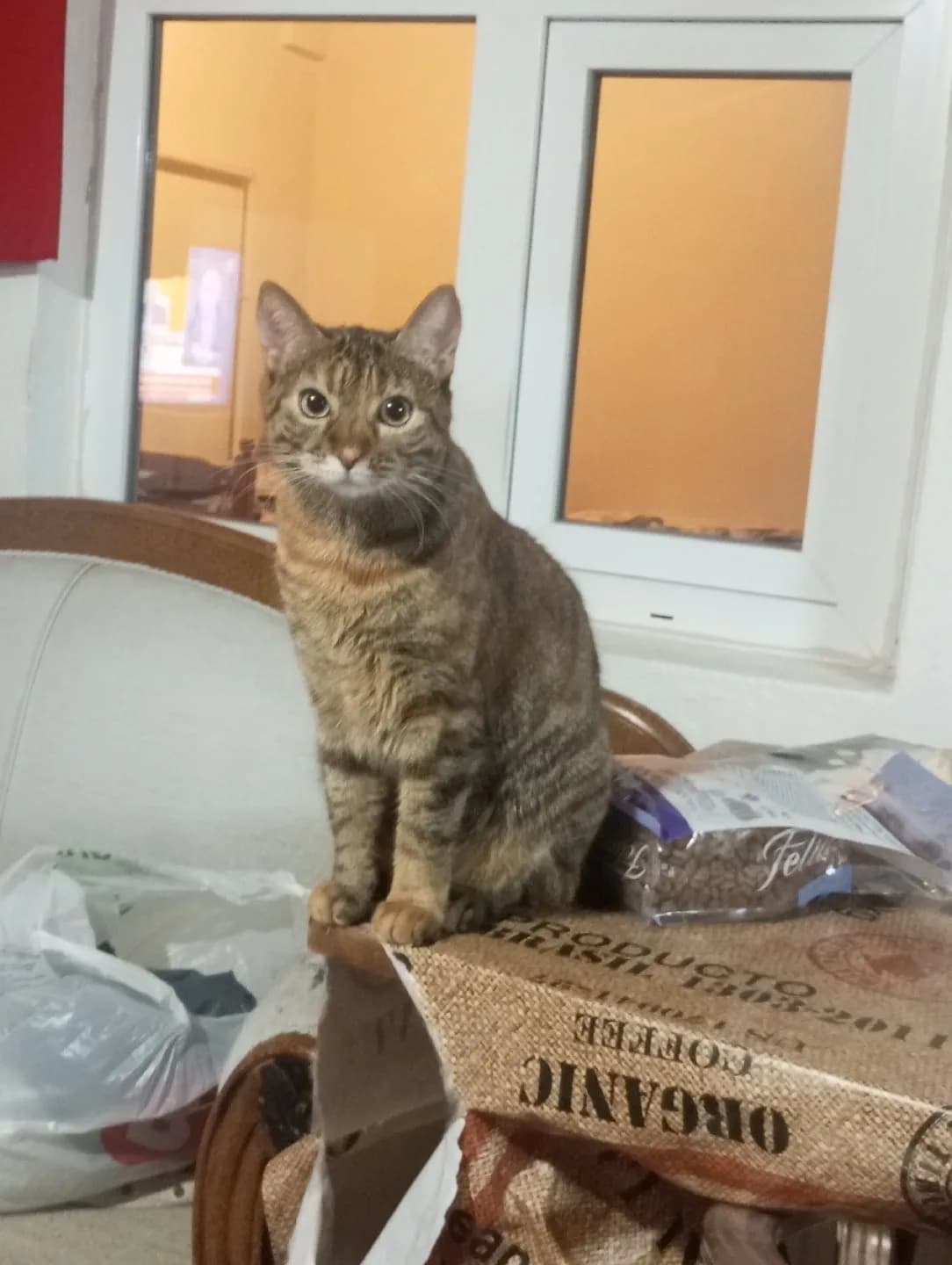 sevgi yuvamağı