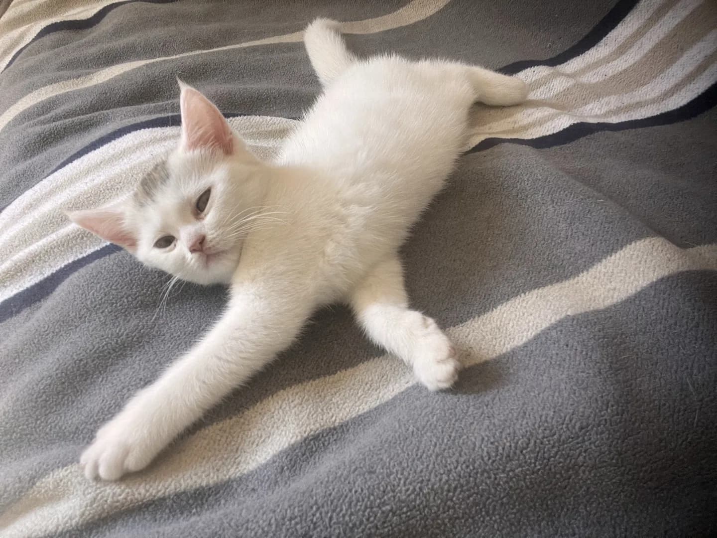 Sevgi dolu yuvasına hazır