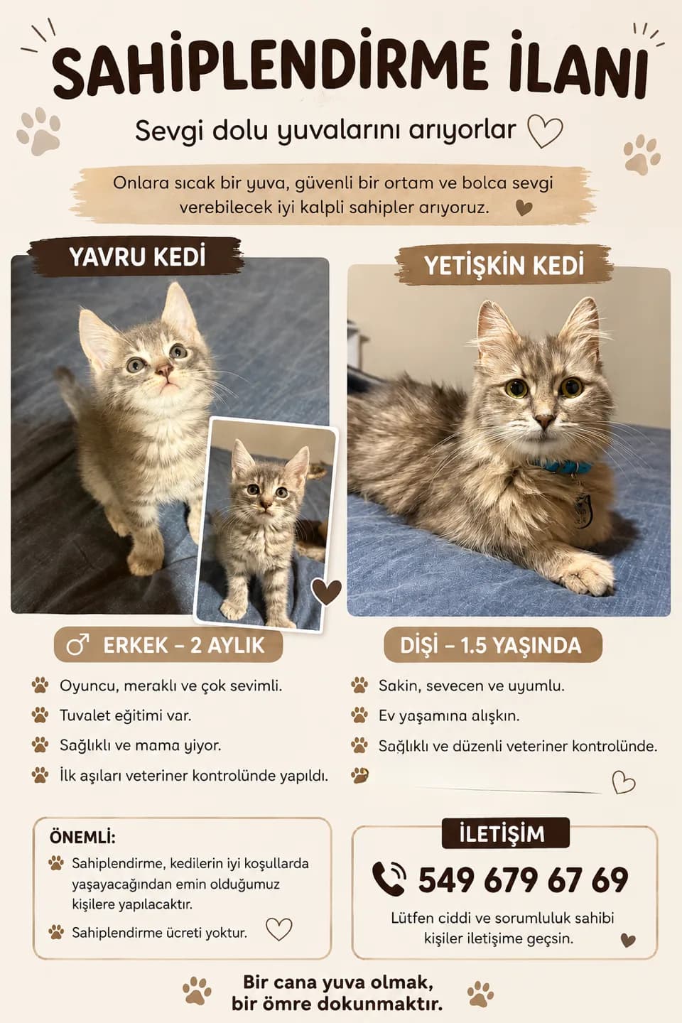 SAHİPLENDİRME