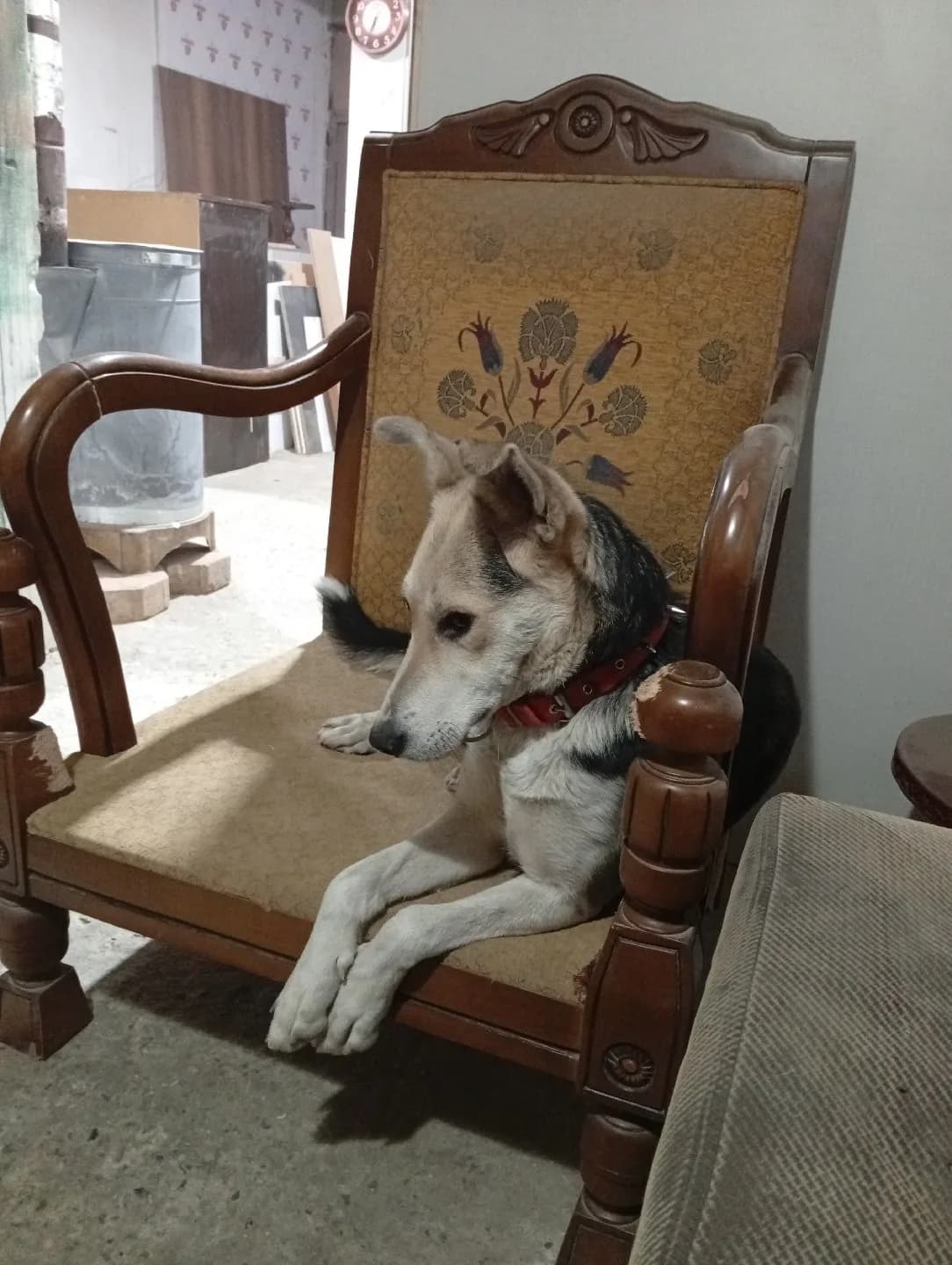 kızıma iyi bakacak aile