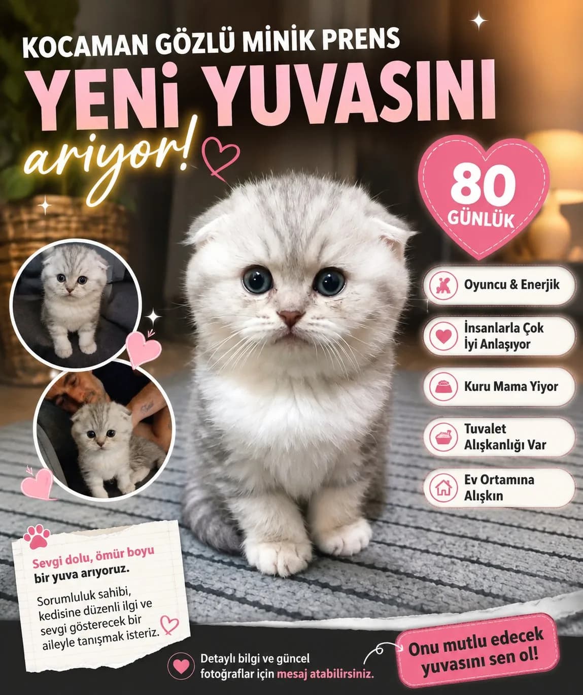 cici oğlumuz