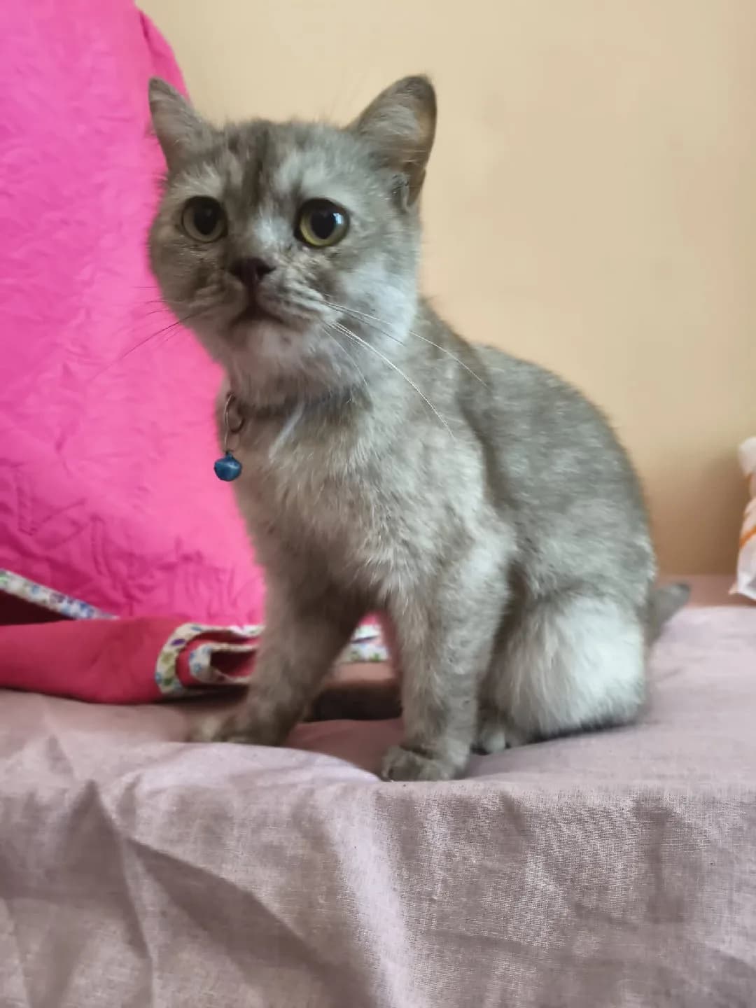 acil yuva arıyoruz