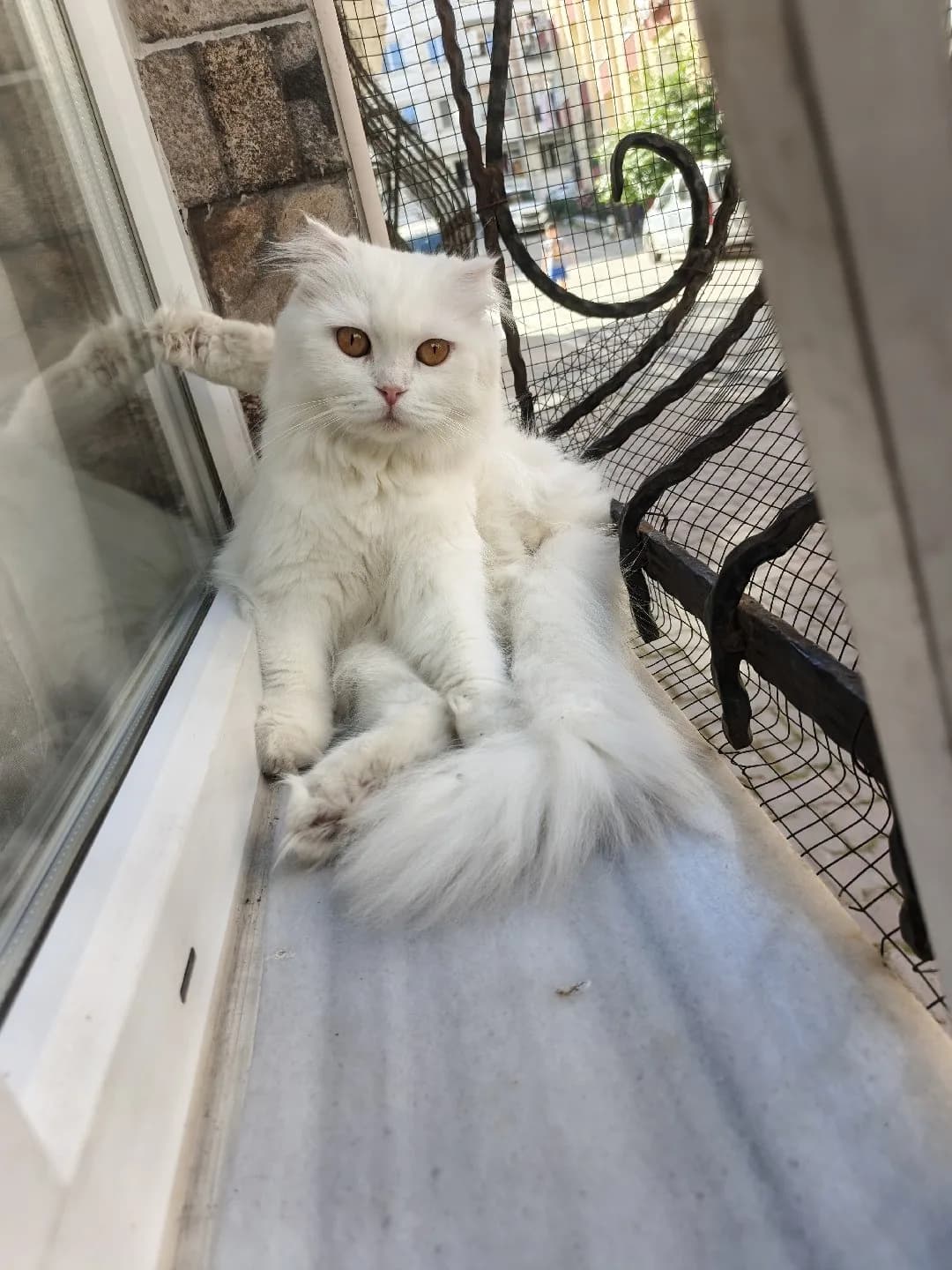 acil yuva arıyoruz