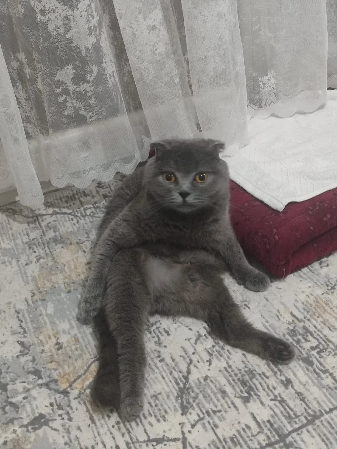 yuva arayışı