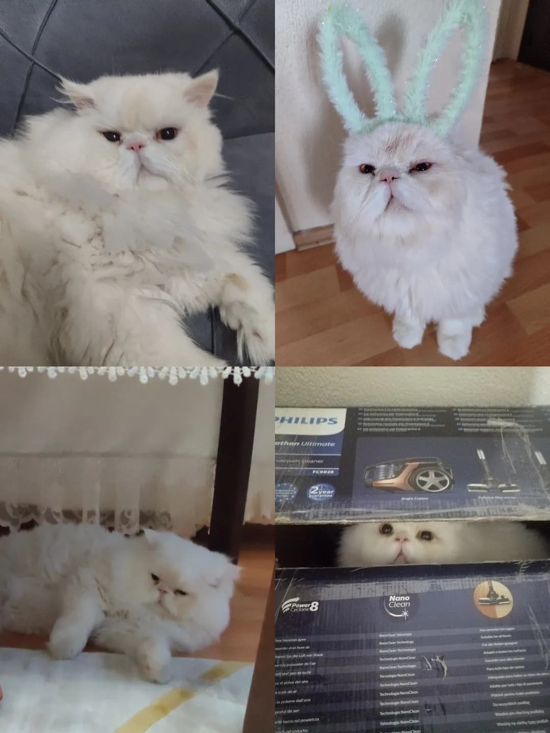 acil yuva arıyoruz