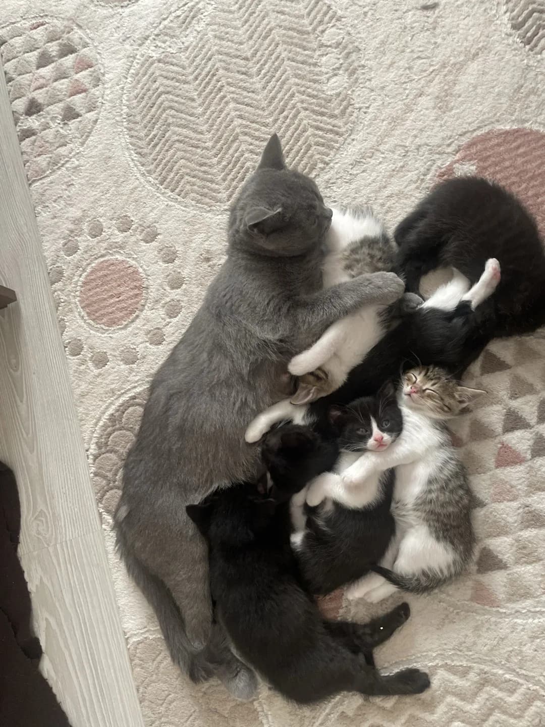 İsimyokkkk