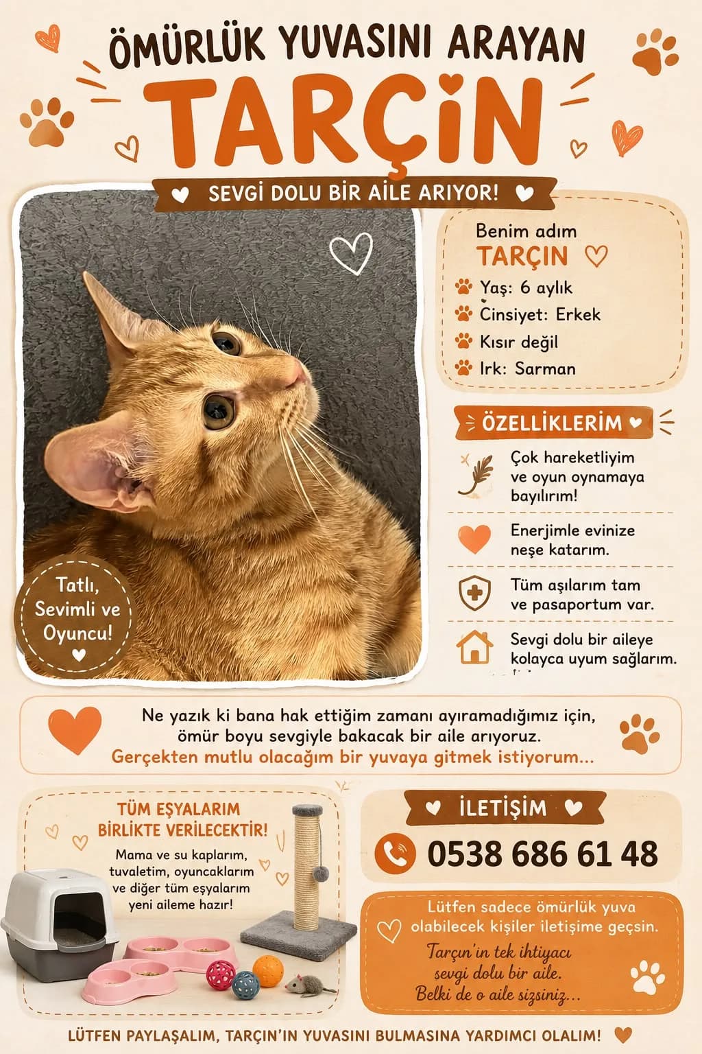 Sevgi dolu yuva aranıyor