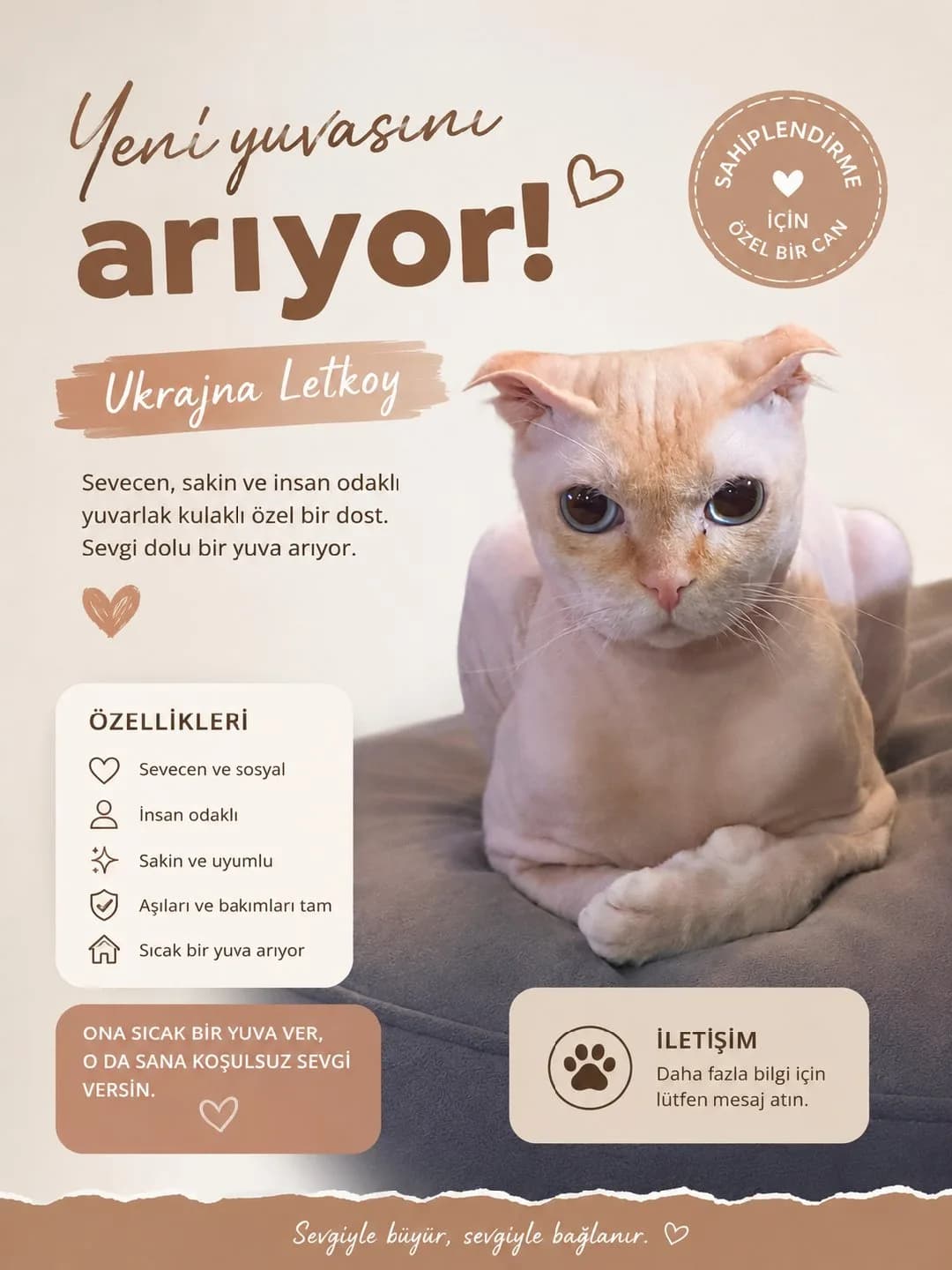 ACİL YUVA ARIYORUM