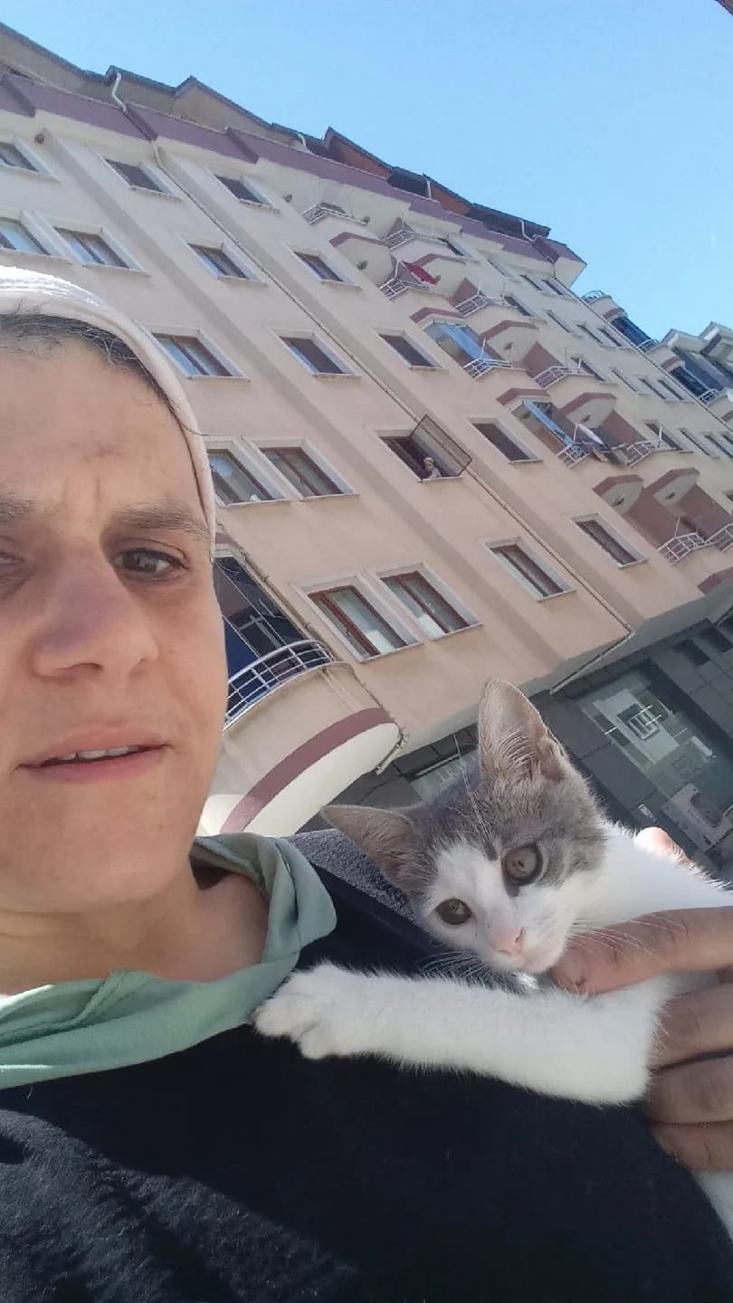 8 aylık kedi acil sahiplenme