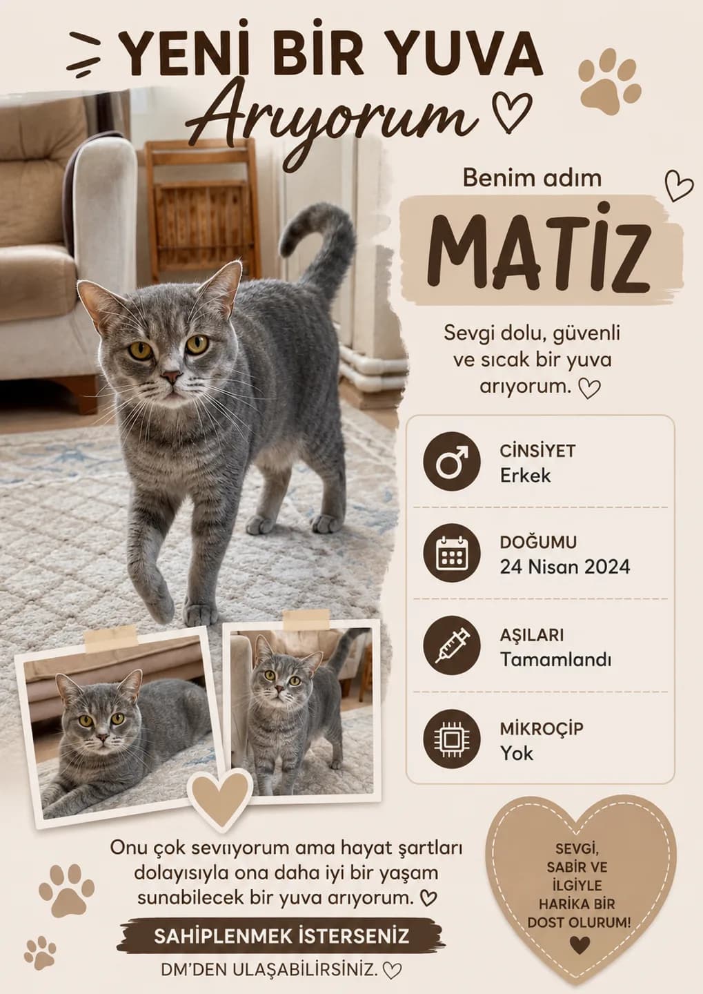 bebeğimin alejisi olduğu için sahiplendirmek istiyorum 🐈