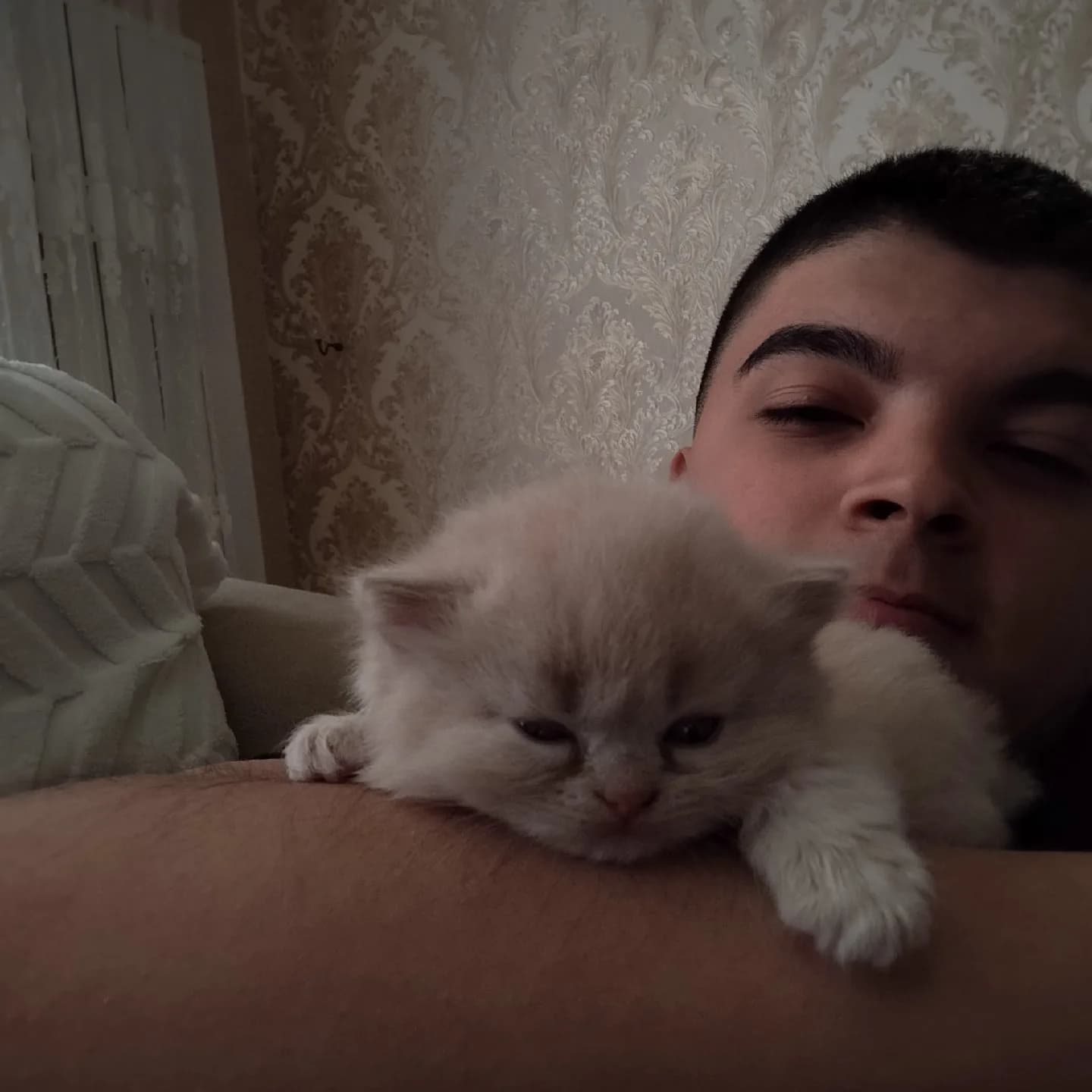 daha 2 buçuk aylık renk sarımsı