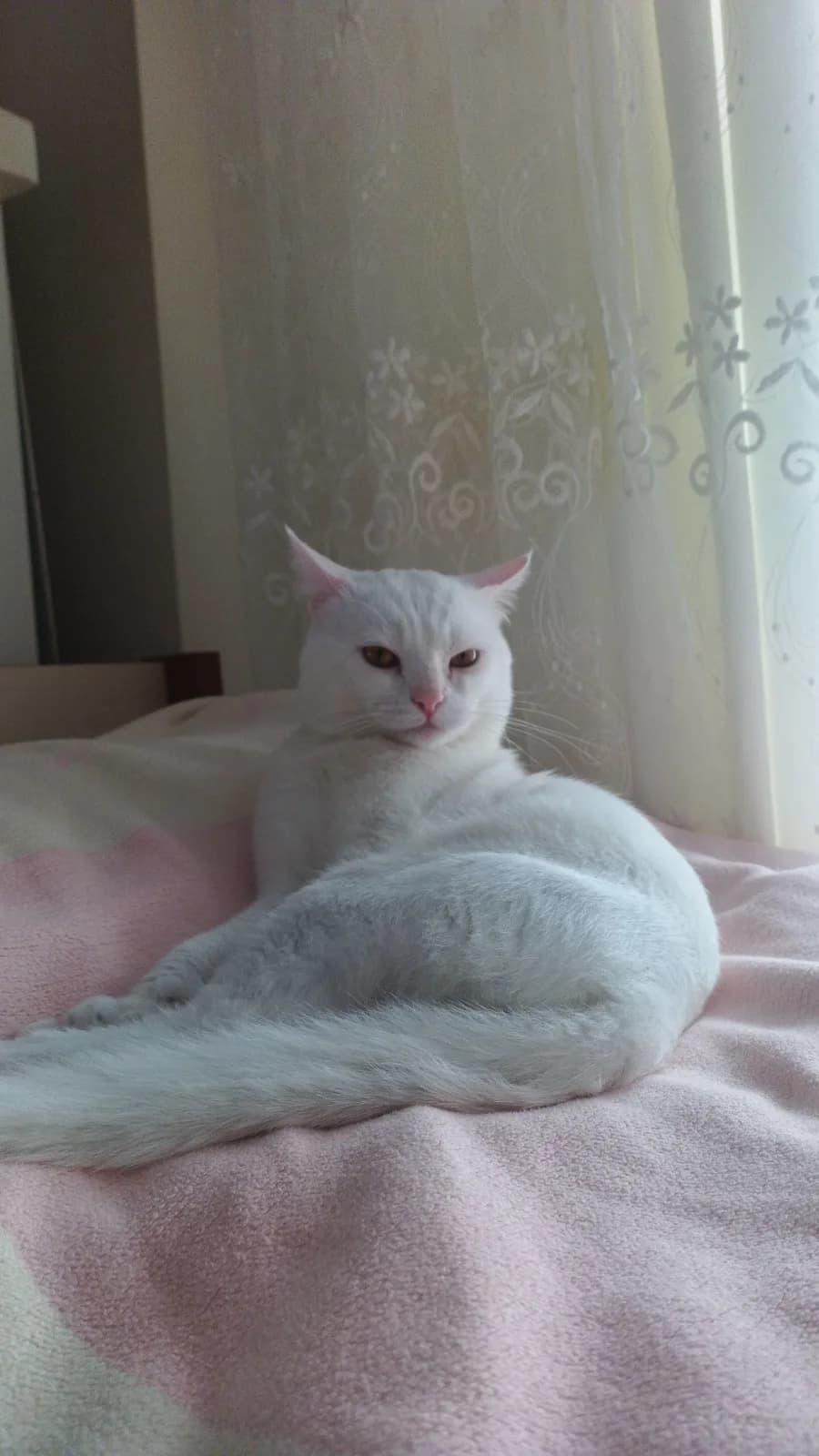 Sevgi Dolu Bir Bebek