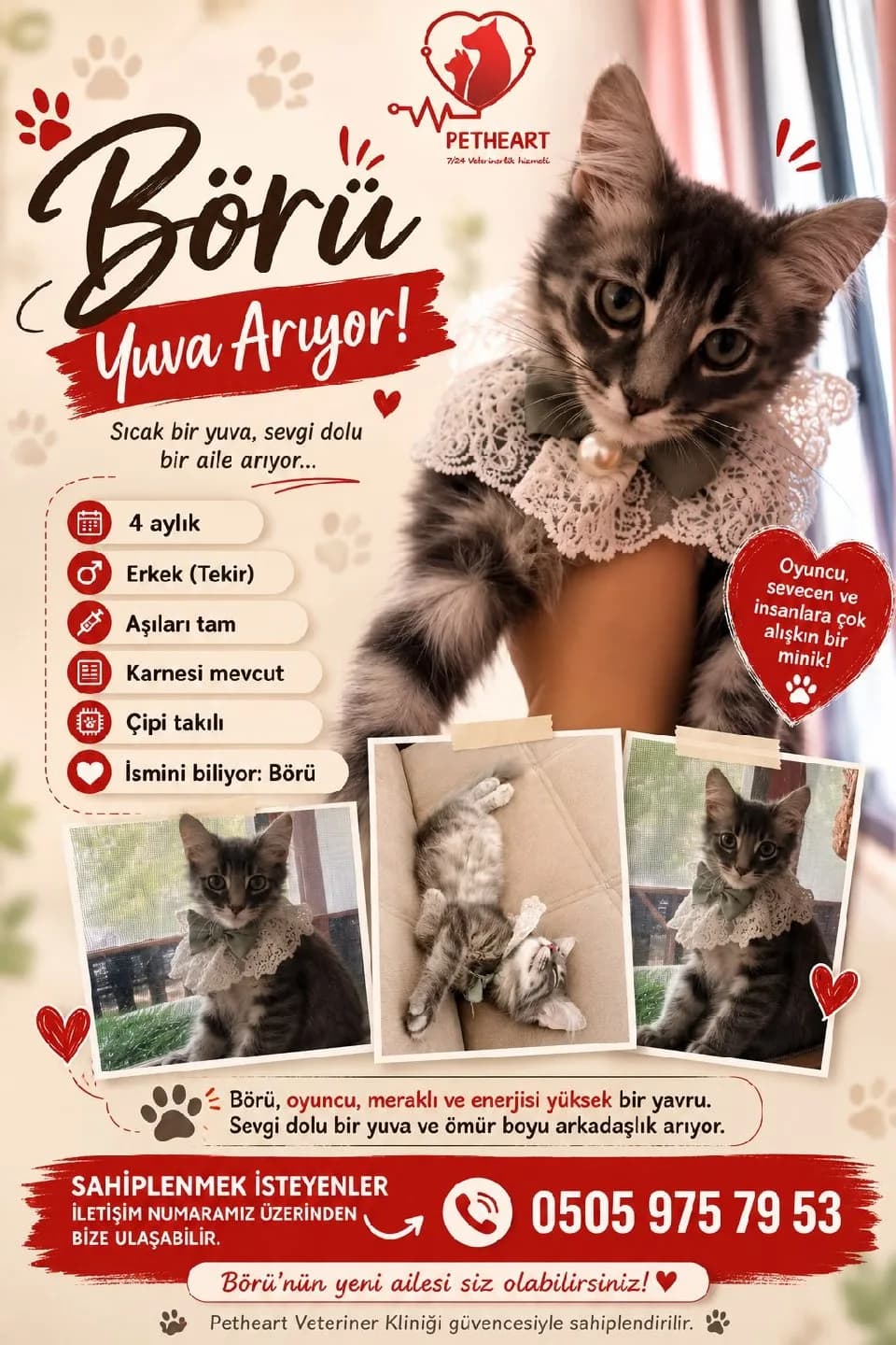 yuva arıyorum