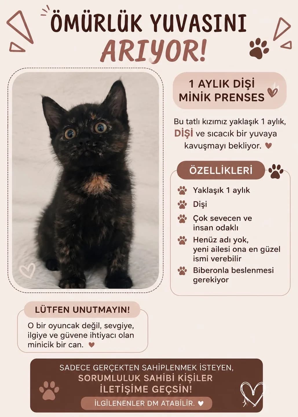 minik bebege yuva